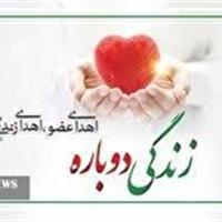 اهدای اعضای بیمار مرگ مغزی در اسفراین نجات بخش چند بیمار نیازمند