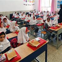 شپش سر در خراسان شمالی تحت کنترل؛ توزیع شامپوهای درمانی ادامه دارد