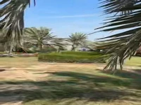 اجرای یک خواننده سوار بر تریلی در خیابان‌های کیش!