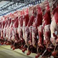 آخرین وضعیت قیمتها در بازار گوشت