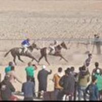 آخرین روز از مسابقات کورس پاییزه سوارکاری در راز و جرگلان با معرفی نفرات برتر پایان یافت