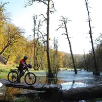  پاییز مُرداب دِریوک کلاردشت