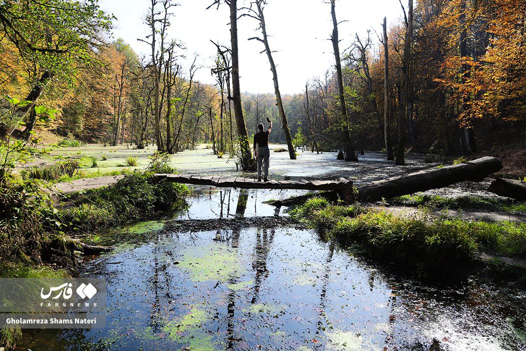  پاییز مُرداب دِریوک کلاردشت