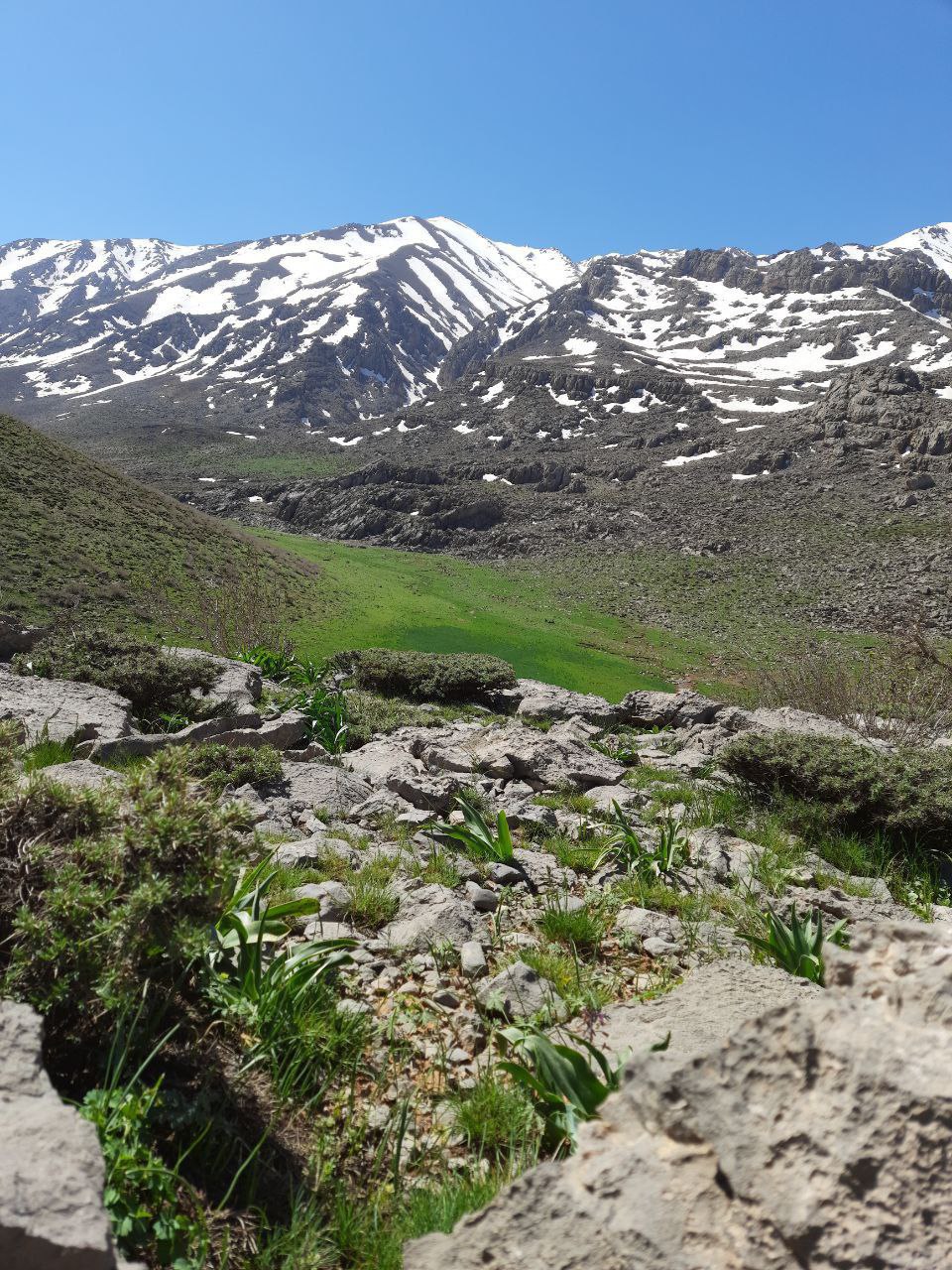 تصاویر دیدنی از طبیعت زیبای نهاوند 