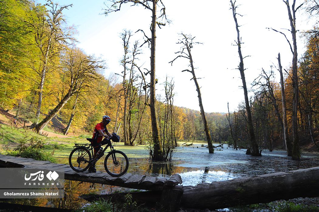  پاییز مُرداب دِریوک کلاردشت