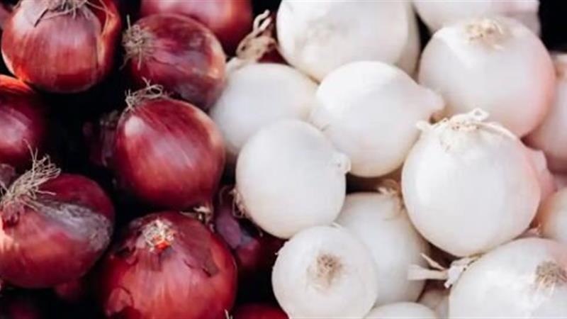 آیا پیاز سفید و قرمز ارزش غذایی یکسانی دارند؟