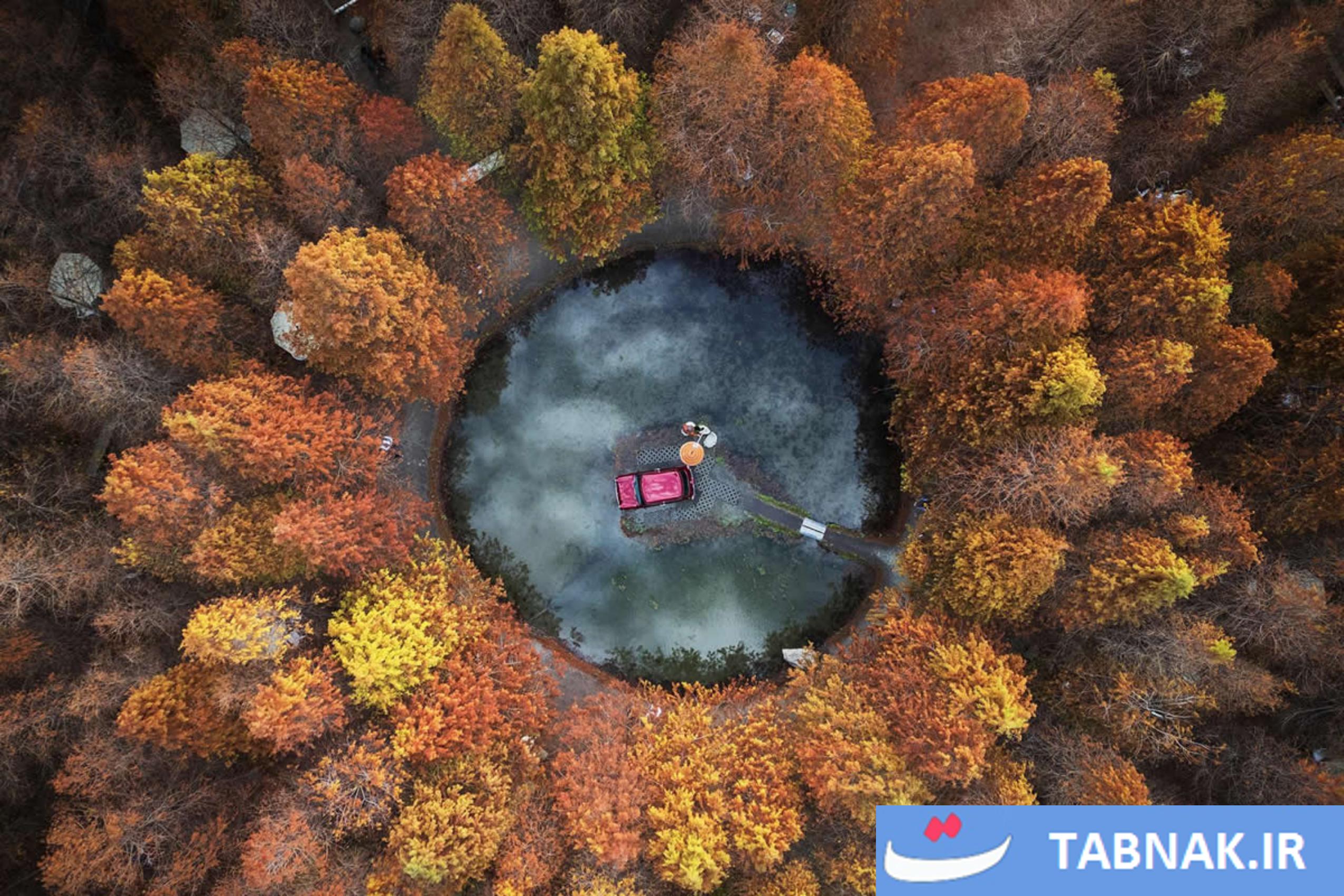 عکس/10 تصویرخارق‌العاده طبیعت، برنده جایزه جهانی عکاسی 2025