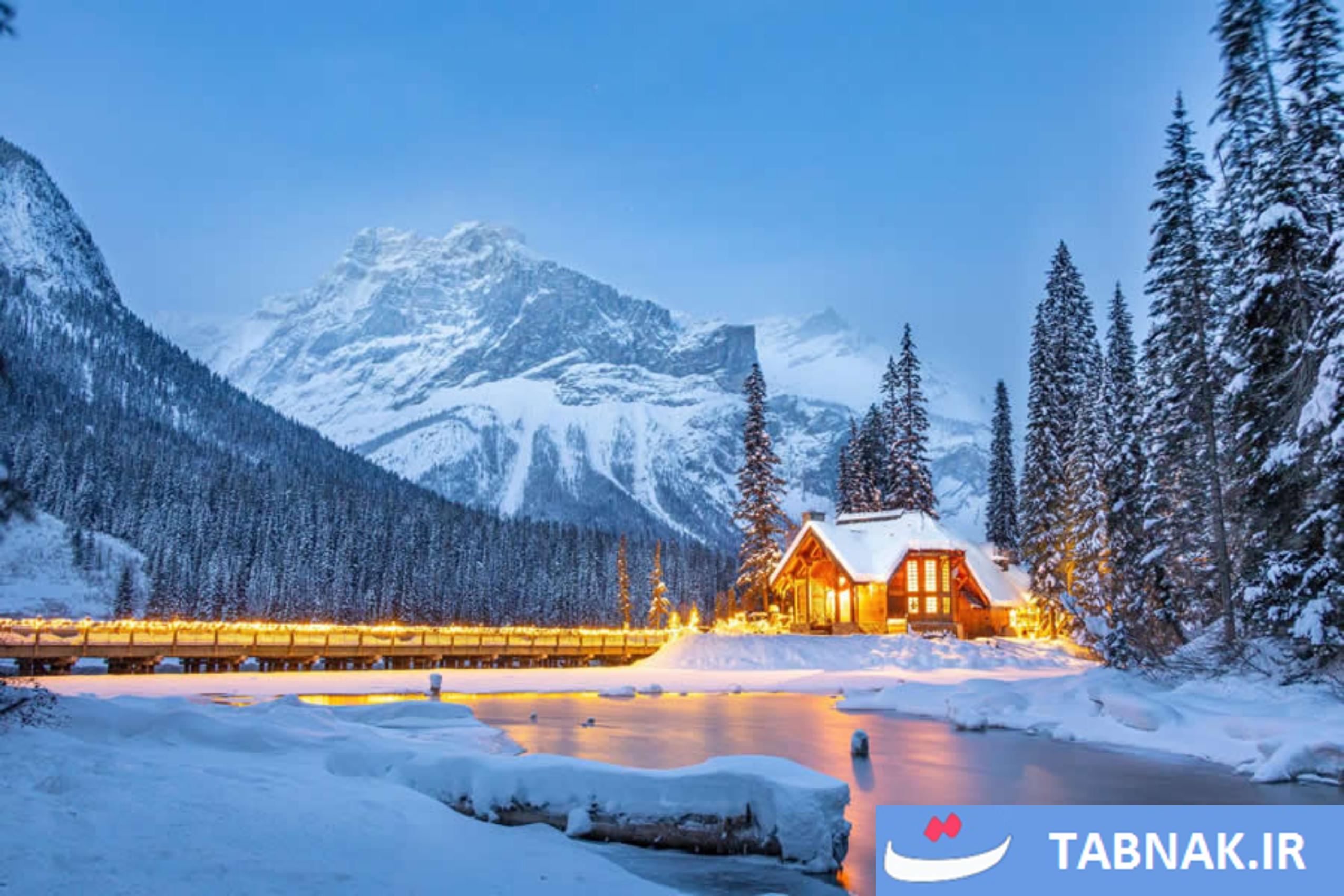 عکس/10 تصویرخارق‌العاده طبیعت، برنده جایزه جهانی عکاسی 2025