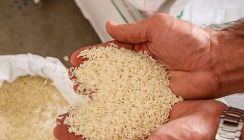 عدم ترخیص برنج از گمرکات؛ علت افزایش قیمت در سیستان بلوچستان