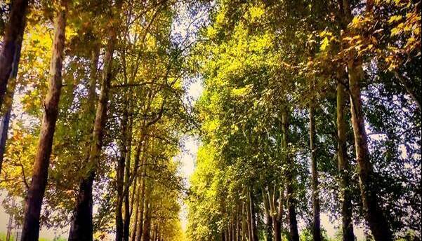 تداوم هوای پایدار پاییزی تا اواسط هفته آینده