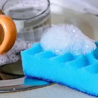 اسفنج ظرفشویی از توالت کثیف‌تر است؟