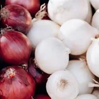 آیا پیاز سفید و قرمز ارزش غذایی یکسانی دارند؟