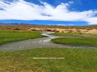 ارتفاعات لاله‌زار بردسیر استان کرمان