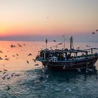 افزایش باد و آسمان صاف در بیشتر نقاط هرمزگان