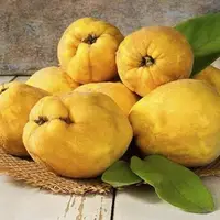 به ‌دانه؛ کاربردی و همه فن حریف