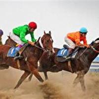 کورس پاییزه یزد به هفته هشتم رسید