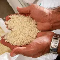 عدم ترخیص برنج از گمرکات؛ علت افزایش قیمت در سیستان بلوچستان