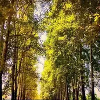 تداوم هوای پایدار پاییزی تا اواسط هفته آینده