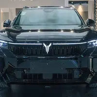 آغاز فروش وویا فری مدل ۲۰۲۵