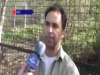 فیلم/ تلاش‌ها برای درمان بیماری ببر پارک حیات‌وحش مایا بی‌نتیجه ماند