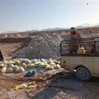 معدوم‌سازی بیش از سه‌هزار لیتر آبلیموی فاقد مشخصات بهداشتی در مهریز