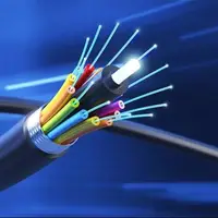 اجرای طرح فیبرنوری در منطقه مرزی هورالعظیم