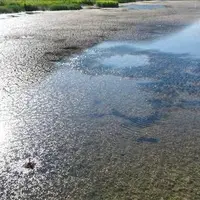 دریاچه‌ای نزدیک تهران که دیگر نیست!