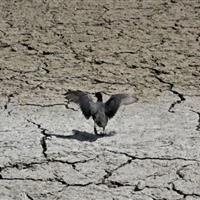 ۱۴۰۴ کم بارش‌ترین سال نیم قرن گذشته/ اسامی استان‌هایی که بیشترین و کمترین خشکسالی را تجربه کرده‌اند