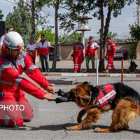 هم‌افزایی نیروهای امدادی برای حضور در عملیات‌های بین‌المللی نجات