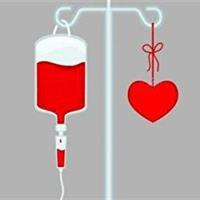 بانوان ایلامی در ایثار خون خود، از همه پیشی گرفتند