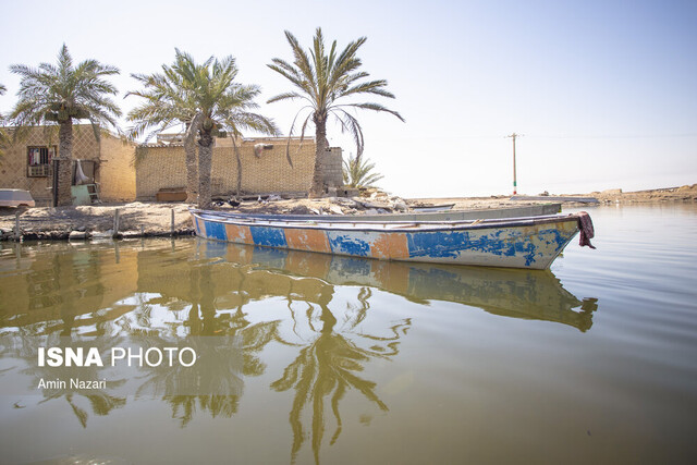۵۸ درصد تالاب شادگان خشک شده است!