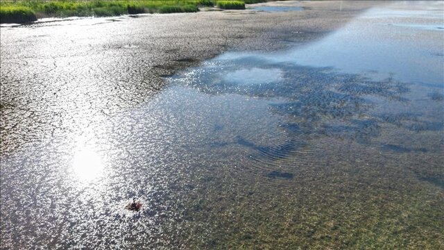 دریاچه‌ای نزدیک تهران که دیگر نیست!