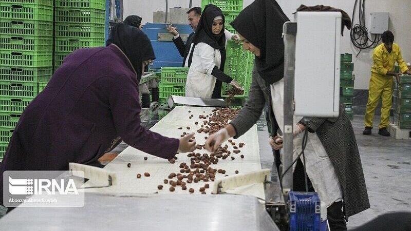 تعاونی‌های مشکل‌دار در کردستان ساماندهی می‌شوند