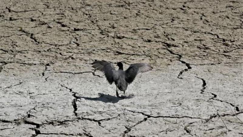 ۱۴۰۴ کم بارش‌ترین سال نیم قرن گذشته/ اسامی استان‌هایی که بیشترین و کمترین خشکسالی را تجربه کرده‌اند