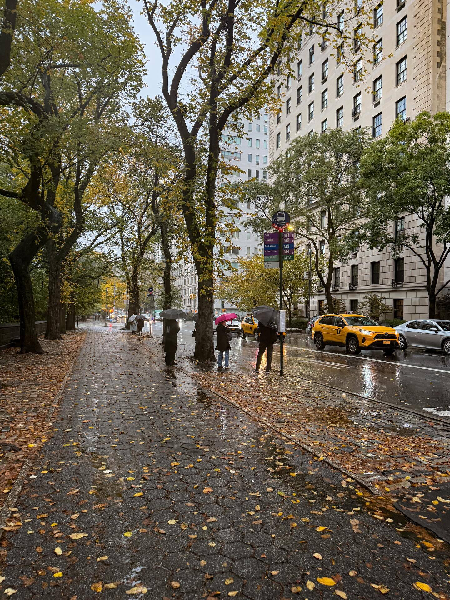 تصاویر دیدنی از پاییز نیویورک 