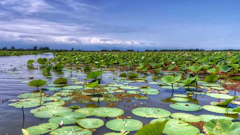 تهیه شناسنامه‌ حفاظتی از راهکارهای مهم برای نجات تالابها