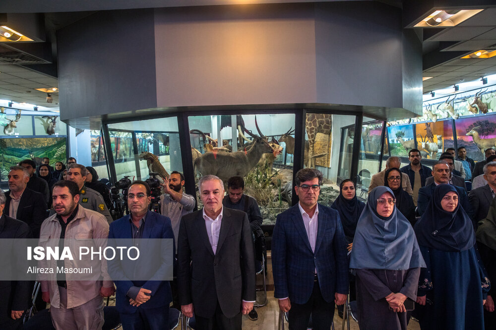 افتتاح بزرگ‌ترین نیروگاه خورشیدی دستگاه‌های اجرایی کشور