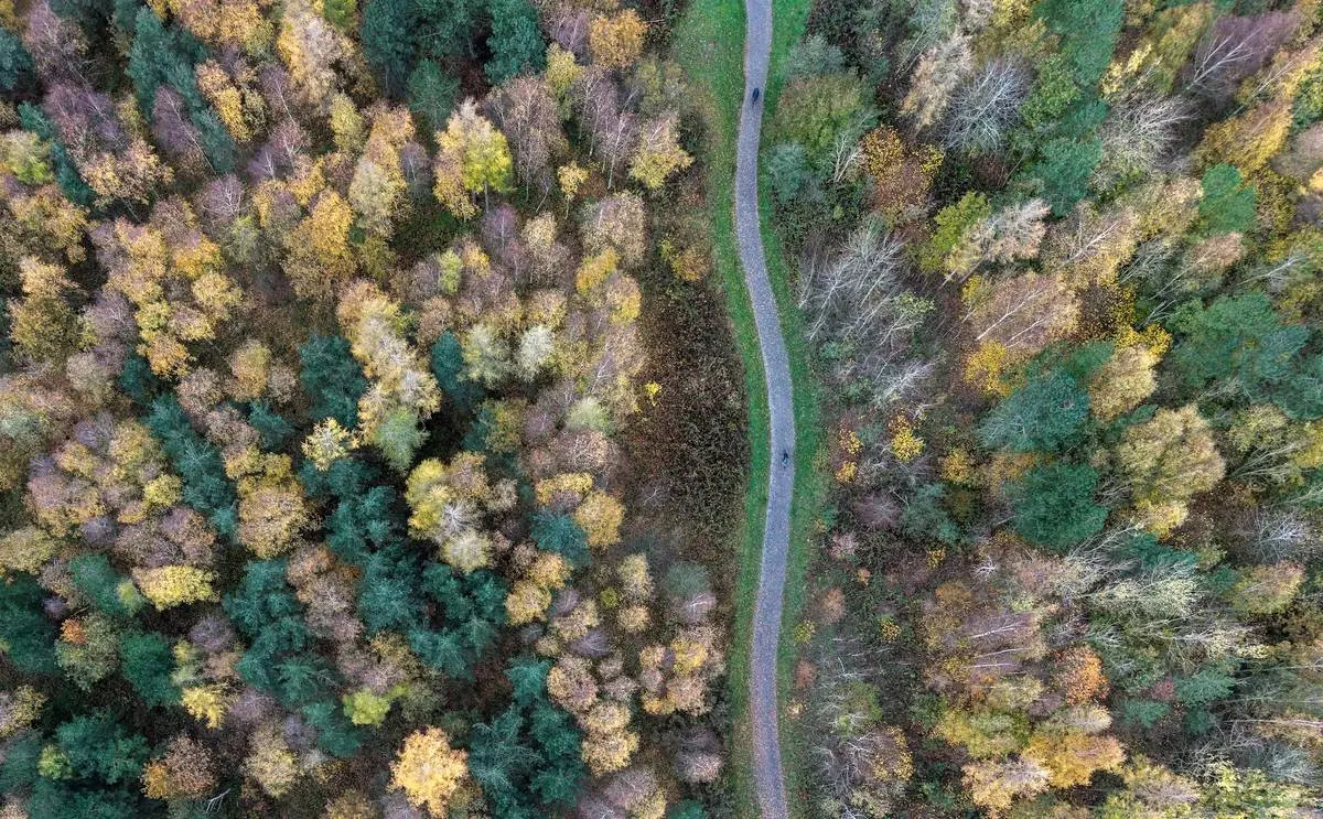  شکوه رنگ‌های پاییزی در سراسر جهان