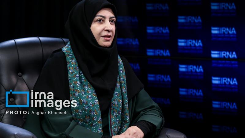 انصاری: از هیچ تلاشی برای پررنگ شدن مساله محیط‌زیست در دولت دریغ نخواهیم کرد