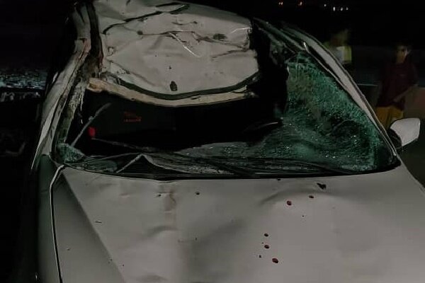 تصادف خودرو و تریلی با شتر در جاسک