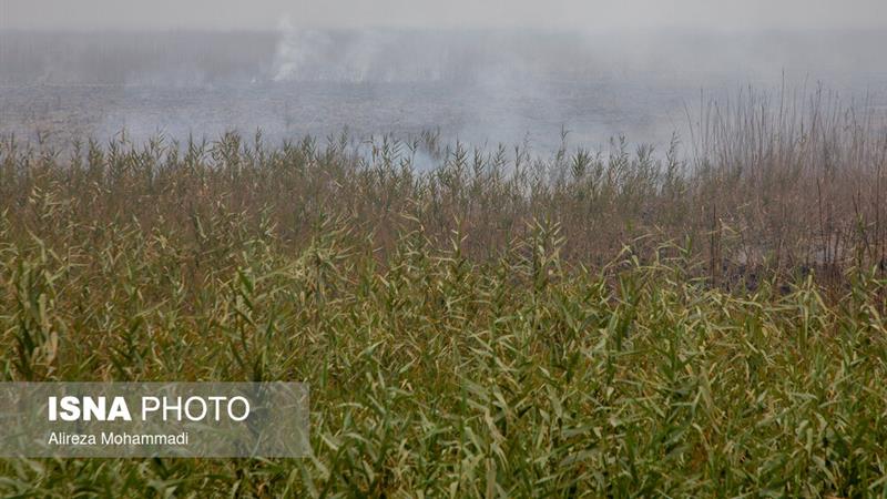 چرا دود آتش‌سوزی هورالعظیم در خوزستان کمتر شده است؟/ برای سال‌های بعد باید ‌فکر اساسی شود