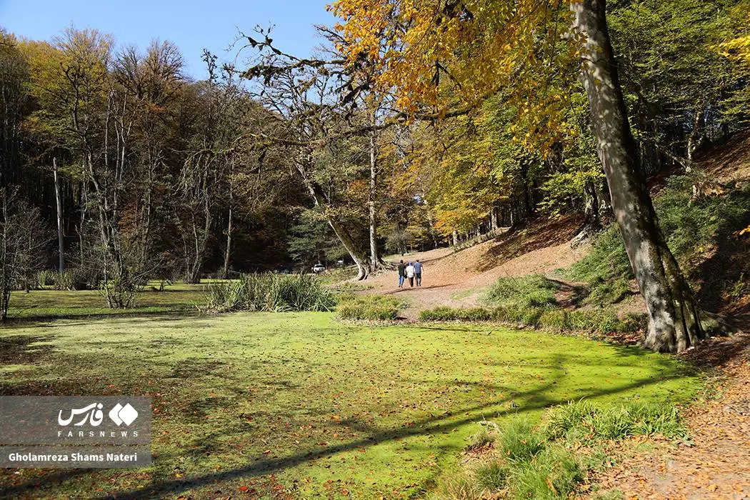 پاییز «مرداب دِریوک» کلاردشت