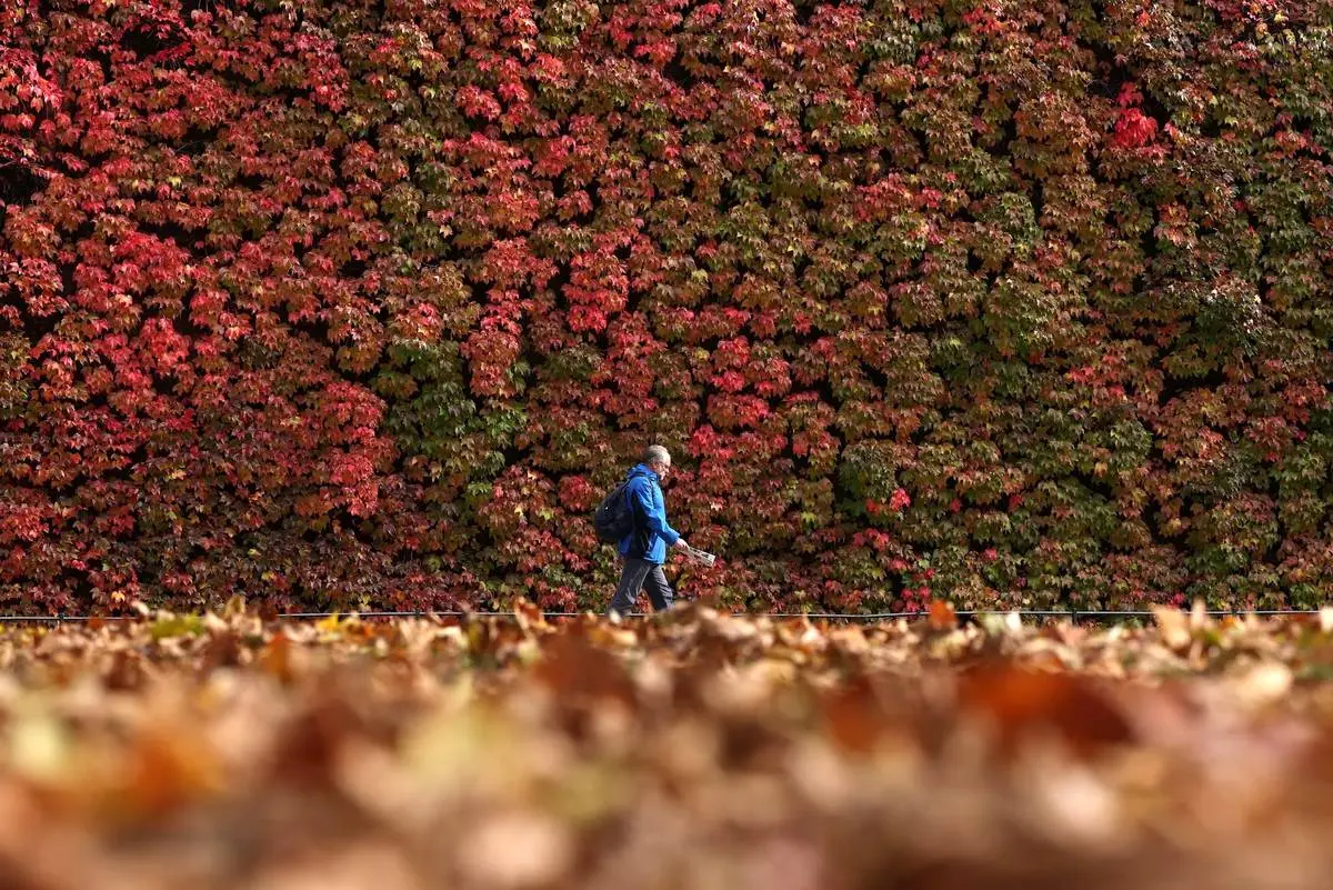  شکوه رنگ‌های پاییزی در سراسر جهان