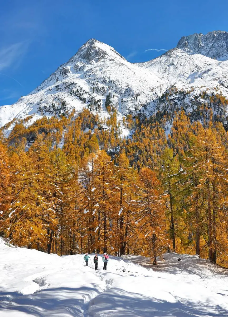  شکوه رنگ‌های پاییزی در سراسر جهان