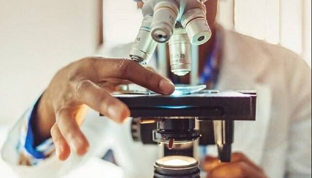 ضعف انسجام علمی، بستر رشد شبه‌علم در ایران را فراهم کرده است