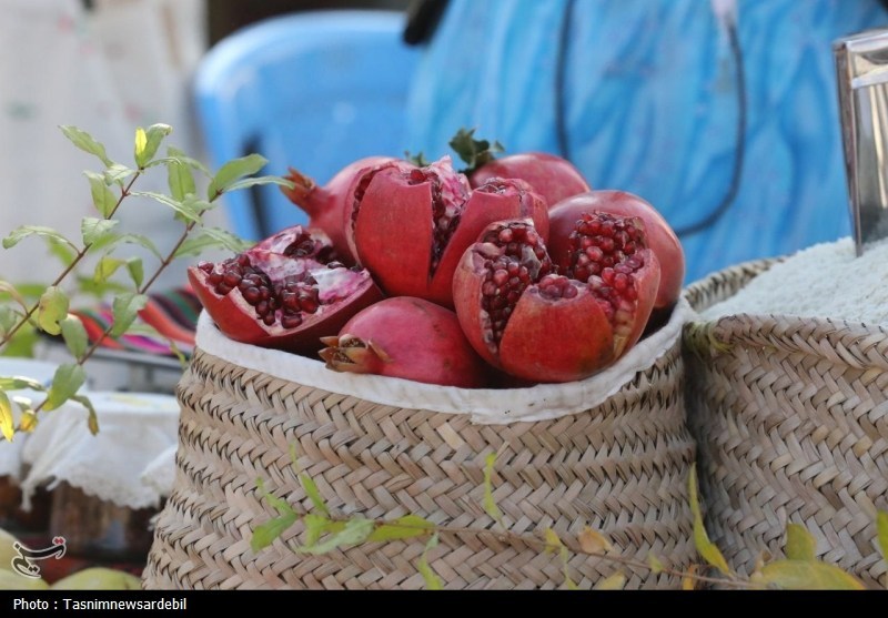 آغاز بهکار جشنواره ملی انار و خرمالوی شیراز