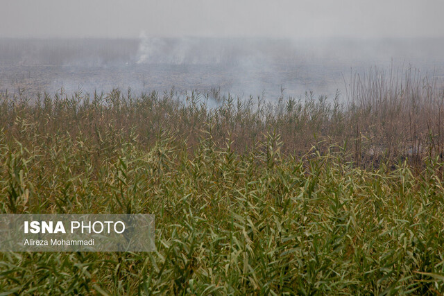 چرا دود آتش‌سوزی هورالعظیم در خوزستان کمتر شده است؟