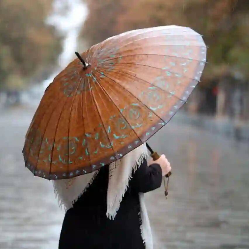 مناطق شمالی تهران بارانی می‌شود