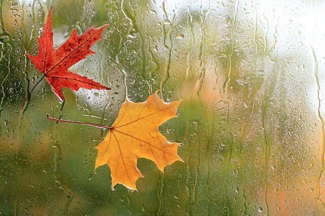 همدان رنگ و بوی پاییزی میگیرد