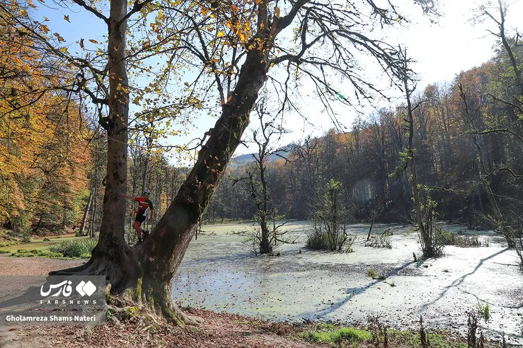 پاییز «مرداب دِریوک» کلاردشت